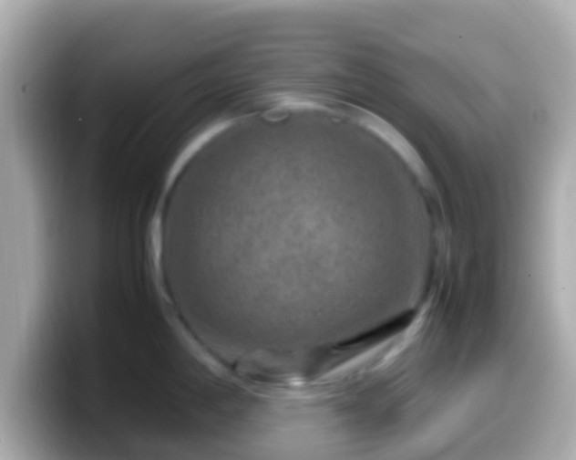 X0000099571198200805231525