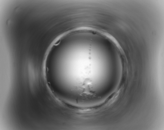 X0000099571199200805231525