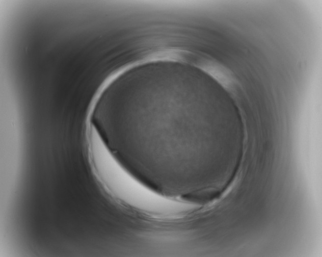 X0000099571200200805231525