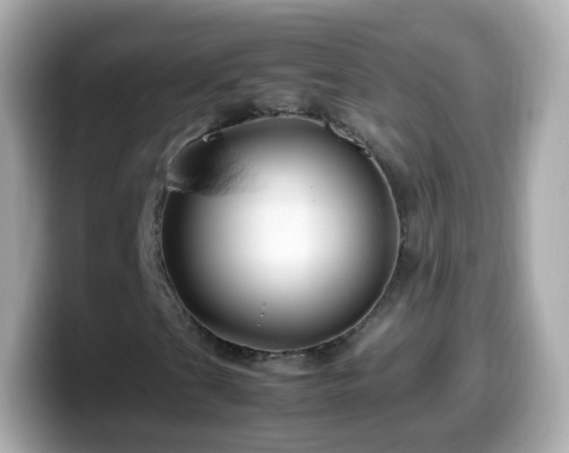 X0000099571201200805231525