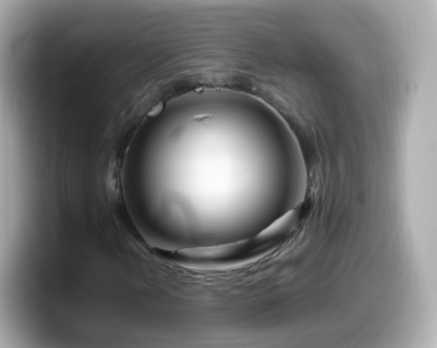 X0000099571202200805231525