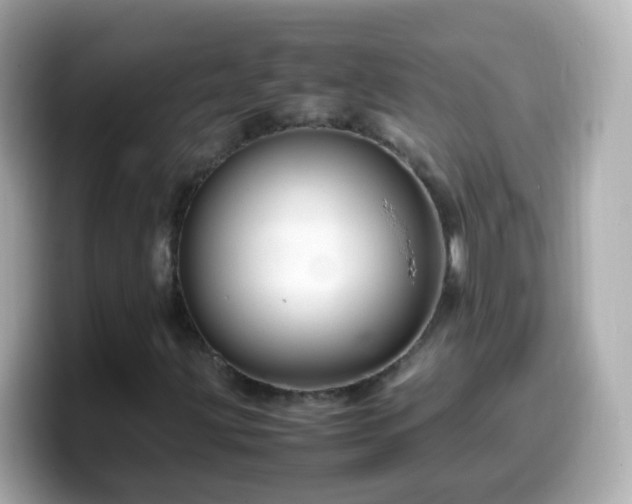 X0000099571203200805231525