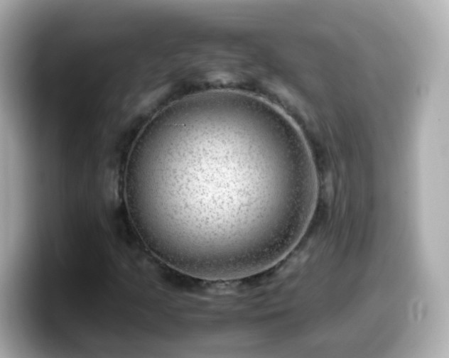 X0000099571205200805231525