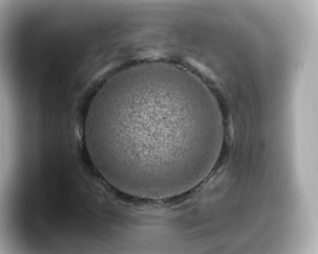 X0000099571206200805231525