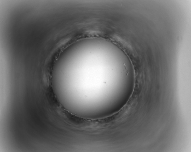 X0000099571207200805231525