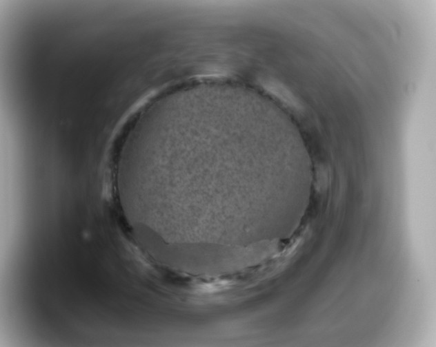 X0000099571208200805231525