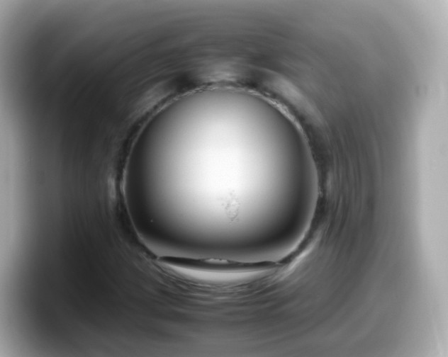 X0000099571209200805231525