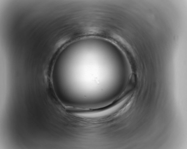 X0000099571210200805231525