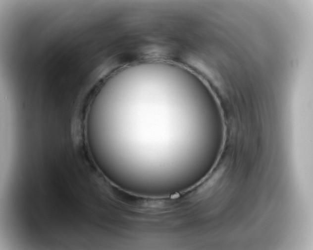 X0000099571211200805231525