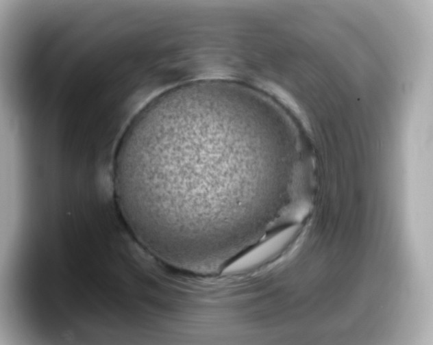 X0000099571212200805231525