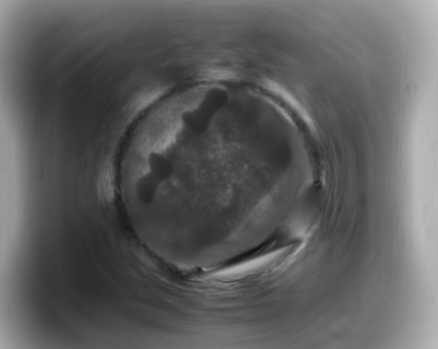 X0000099571213200805231525