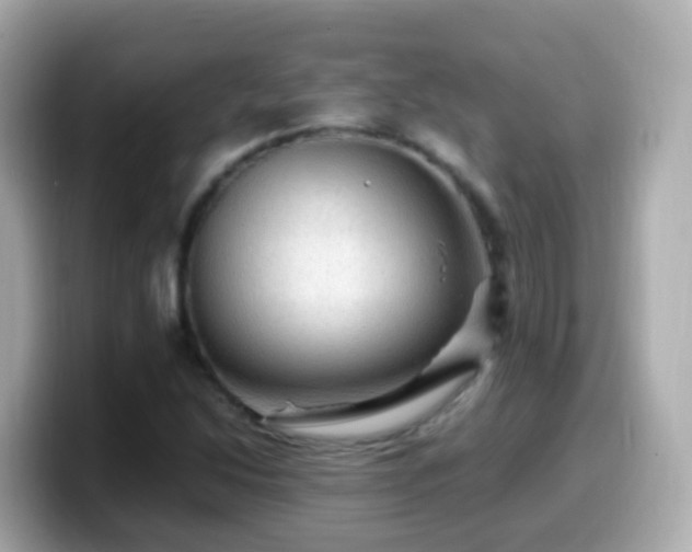 X0000099571214200805231525