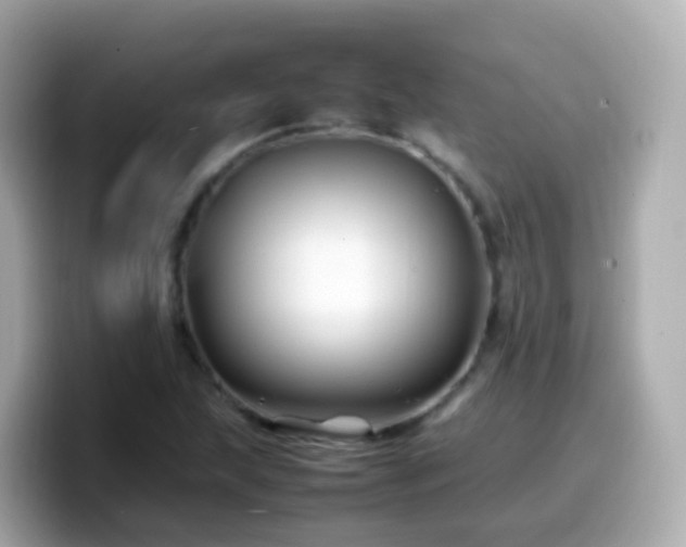 X0000099571215200805231525