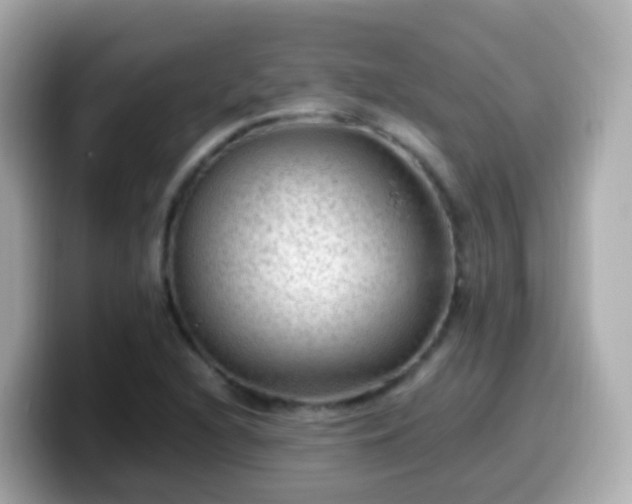 X0000099571216200805231525