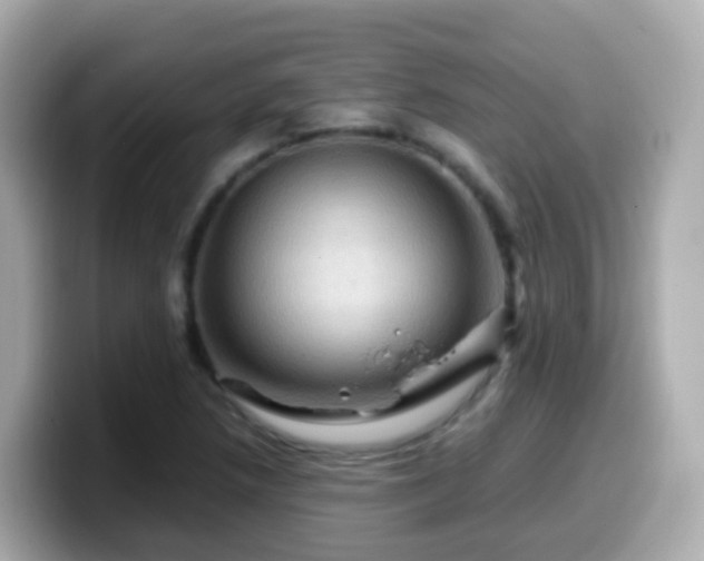 X0000099571218200805231525