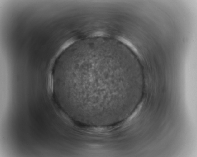 X0000099571219200805231525