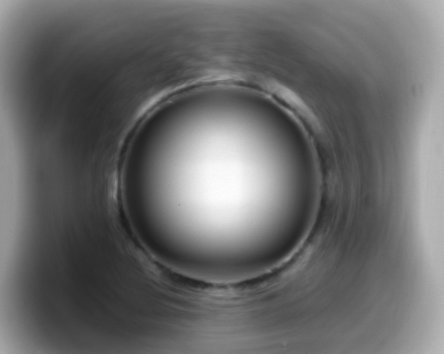 X0000099571220200805231525