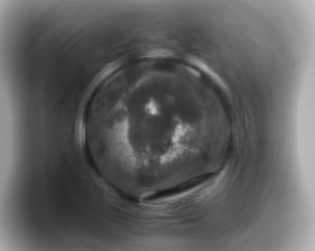 X0000099571221200805231525