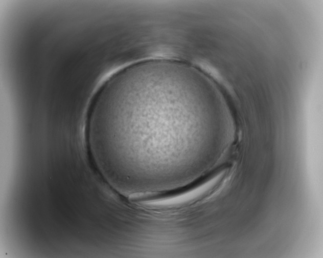 X0000099571222200805231525