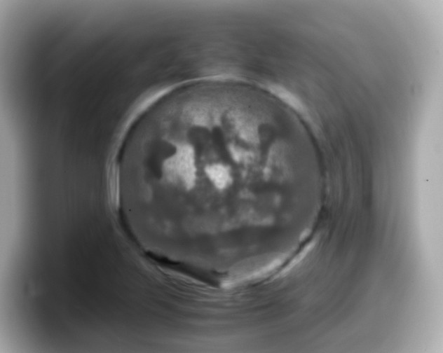 X0000099571223200805231525