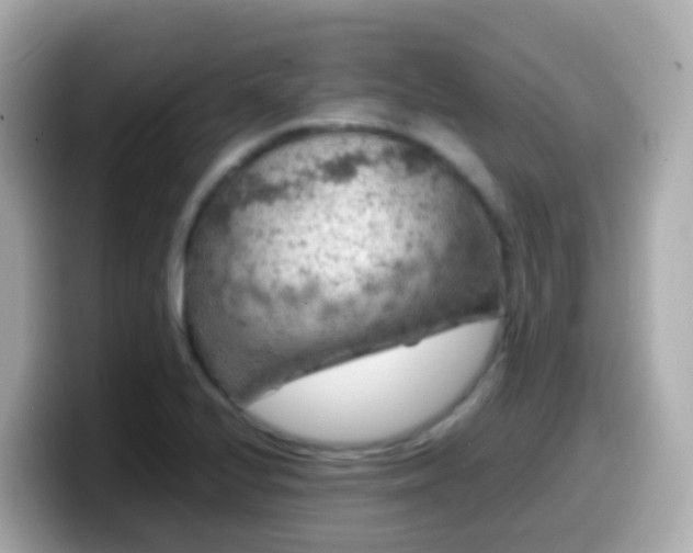 X0000099571224200805231525