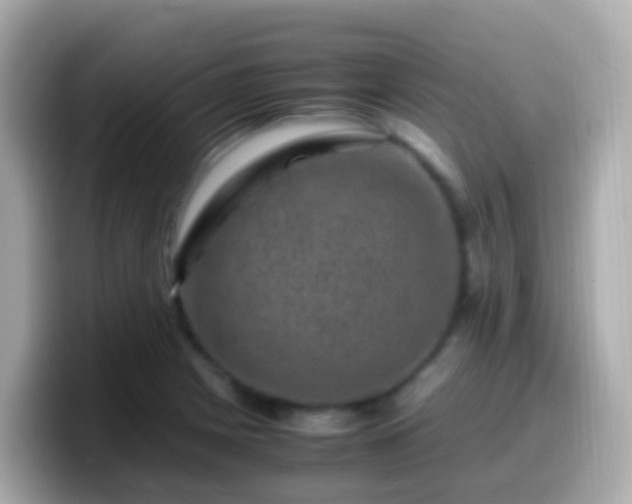 X0000099571225200805231525