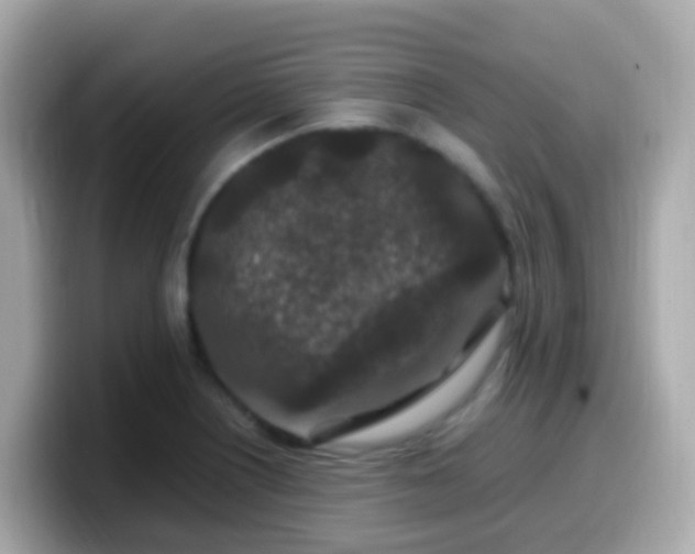 X0000099571226200805231525