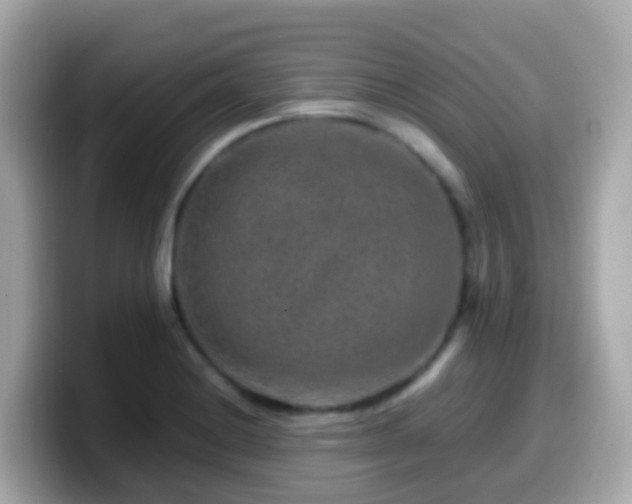 X0000099571228200805231525