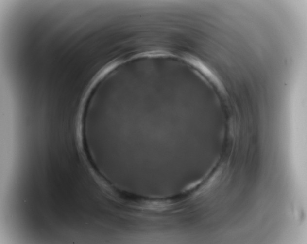 X0000099571229200805231525