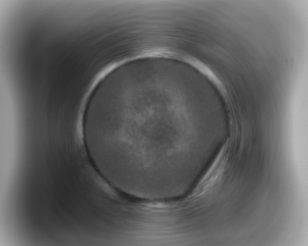 X0000099571230200805231525