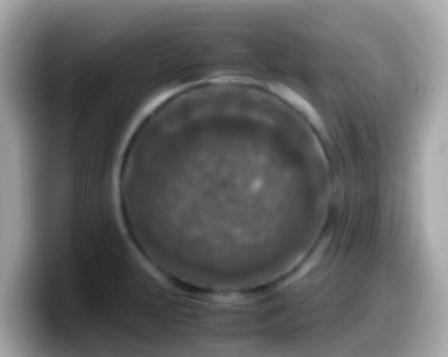 X0000099571231200805231525