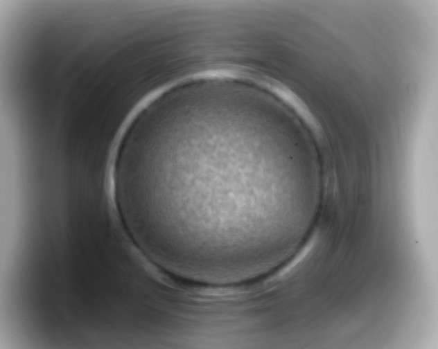 X0000099571232200805231525