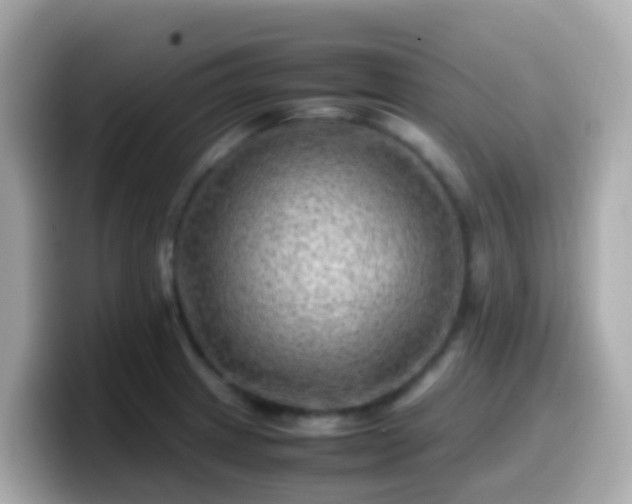 X0000099571233200805231525