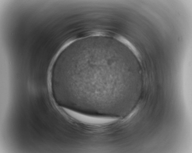 X0000099571235200805231525