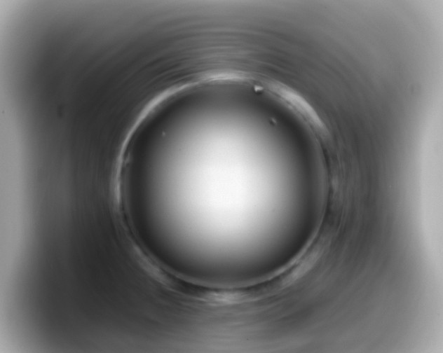 X0000099571236200805231525