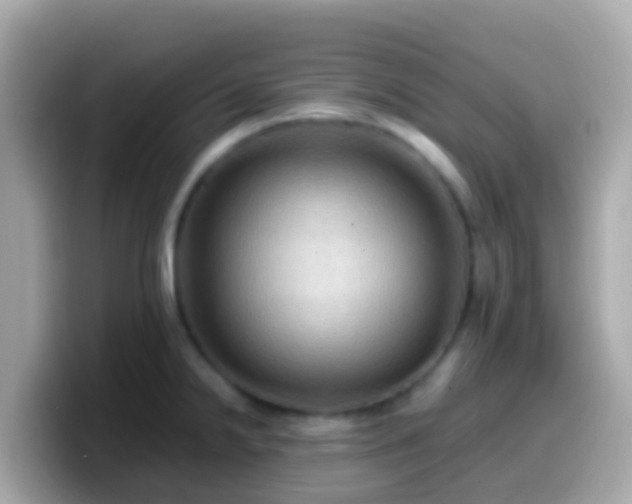 X0000099571238200805231525