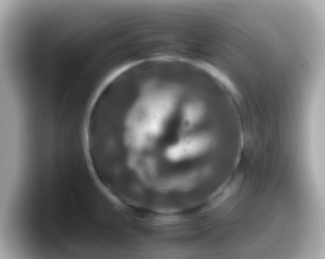 X0000099571239200805231525