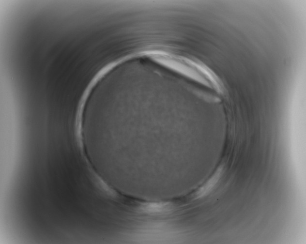 X0000099571240200805231525