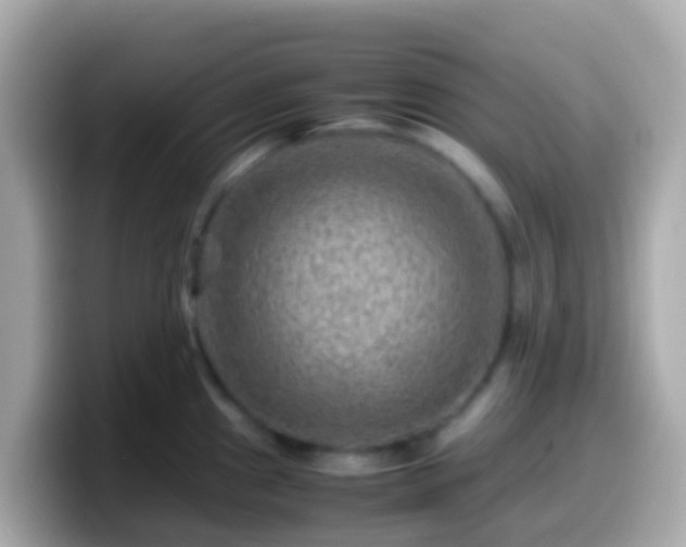 X0000099571241200805231525