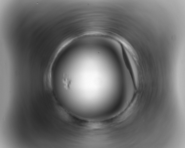 X0000099571242200805231525