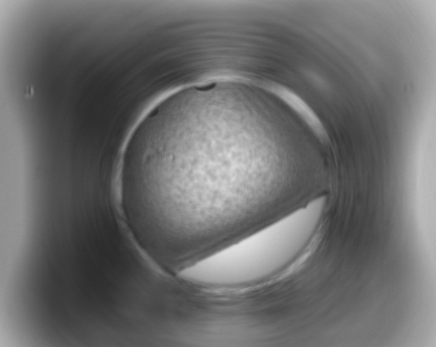 X0000099571244200805231525