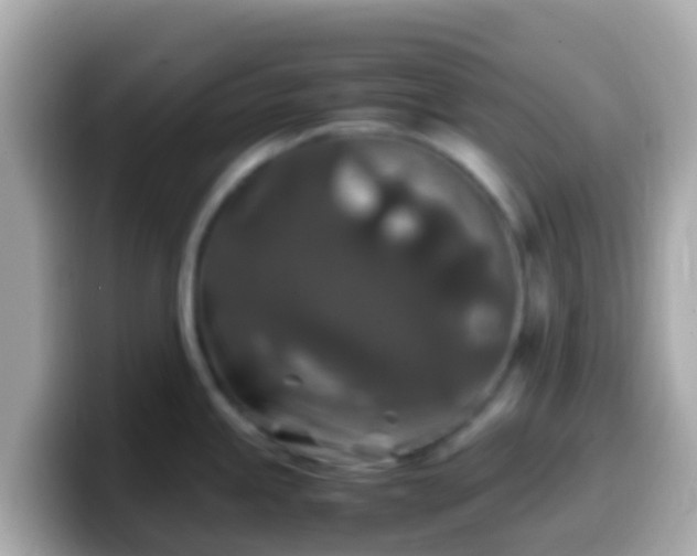 X0000099571245200805231525