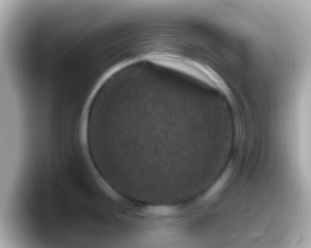 X0000099571246200805231525