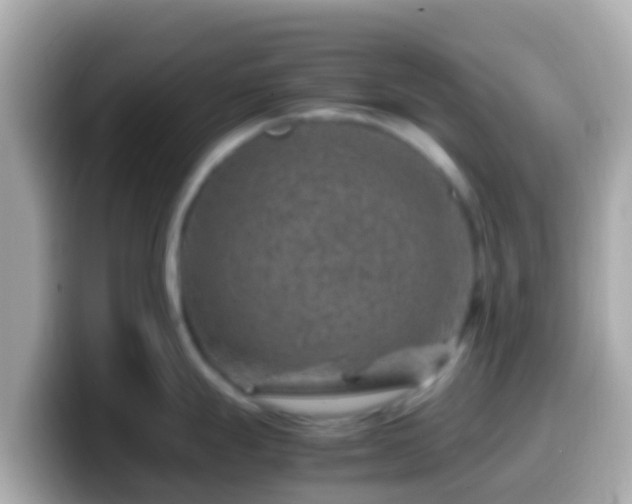 X0000099571247200805231525