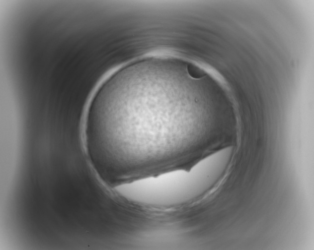 X0000099571248200805231525