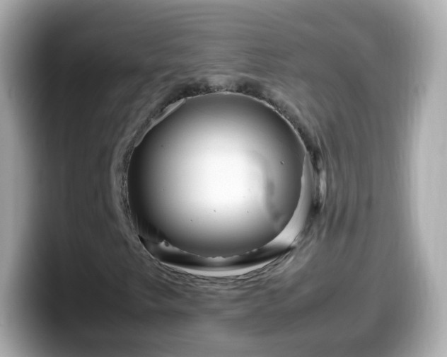 X0000099571249200805231525