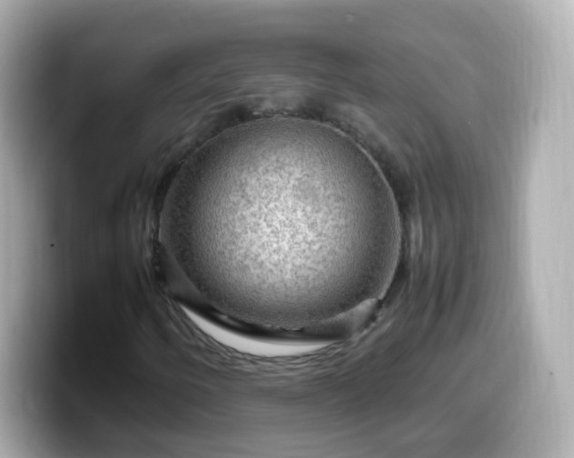 X0000099571250200805231525