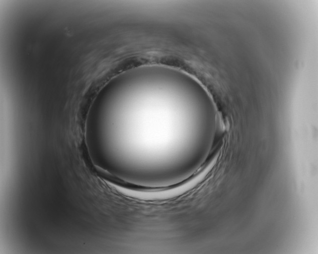 X0000099571253200805231525