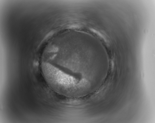 X0000099571254200805231525