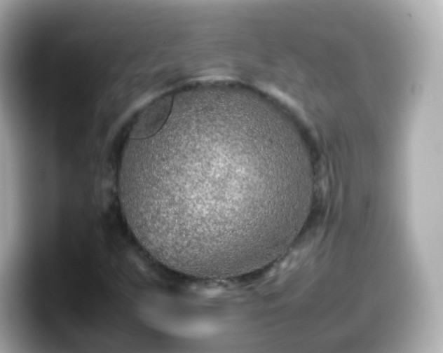 X0000099571255200805231525